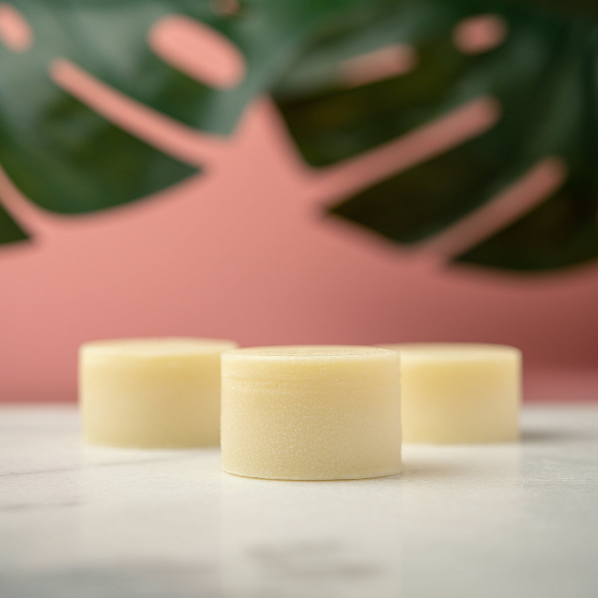 Shea Butter Lotion Bar Soultri Scents